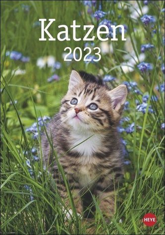 Katzen Kalender 2023