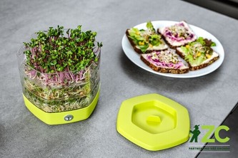 Miska klíčící Mungo 17x17x15,5 cm avokádo