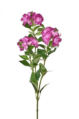 Větvička Rhododendron růžová, 80 cm
