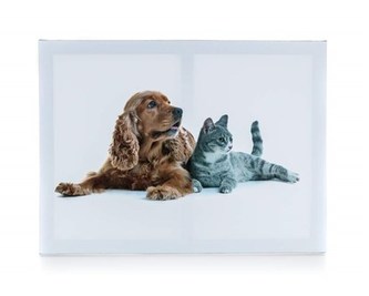 HOME DECOR Obraz DOG AND CAT 1, 40 x 30 x 2 cm
