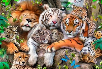 Wooden City Puzzle Čas na šlofíka 2v1, dřevěné, 300 dílků