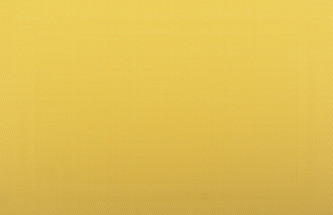 Prostírání PAD žlutá 28x43 cm Mybesthome