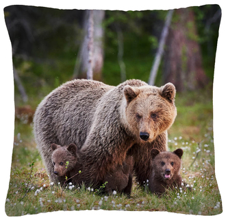 Polštář animal 07 - MEDVĚDI  Mybesthome 40x40 cm