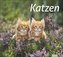 times&more Katzen Bildkalender 2023