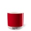 PANTONE Latte termo hrnek - Red 2035