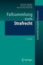 Fallsammlung zum Strafrecht