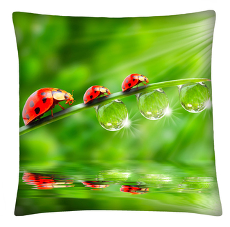 Polštář ANIMAL 22 -  LADYBUGS Mybesthome 40x40 cm