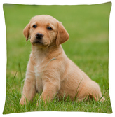 Polštář s motivem psa 30 Mybesthome 40x40 cm
