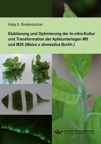 Etablierung und Optimierung der In-vitro-Kultur und Transformation der Apfelunterlagen M9 und M26 (Malus x domestica Borkh.)