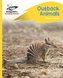 Reading Planet - Outback Animals - Yellow Plus: Rocket Phonics