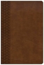 CSB EVERYDAY STUDY BIBLE BROWN