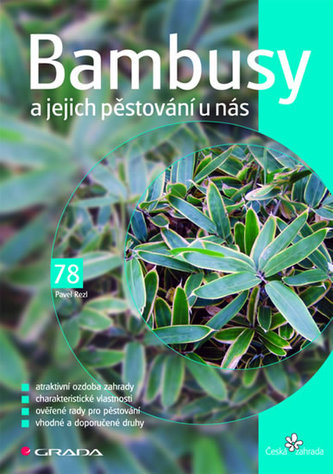 Bambusy