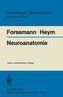 Neuroanatomie