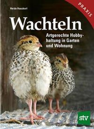 Wachteln