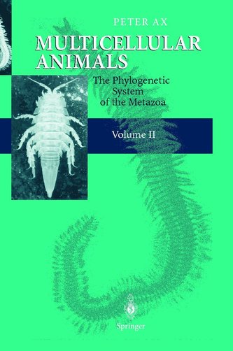 Multicellular Animals 2