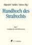 Handbuch des Strafrechts 07