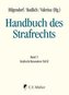 Handbuch des Strafrechts Band 05