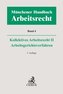 Münchener Handbuch zum Arbeitsrecht  Bd. 4: Kollektives Arbeitsrecht II, Arbeitsgerichtsverfahren