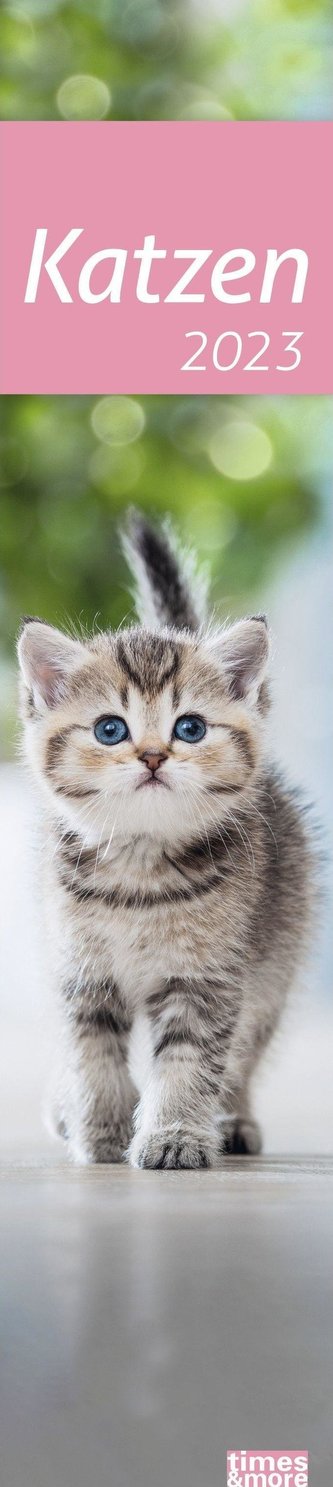 times&more Katzen Langplaner 2023