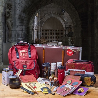 Kufr Harryho Pottera