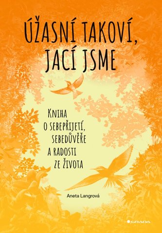 Úžasní takoví, jací jsme - Kniha o sebepřijetí, sebedůvěře a radosti ze života Úžasní takoví, jací jsme - Kniha o sebepřijetí, sebedůvěře a radosti ze života