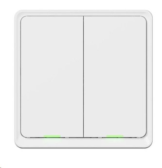 Tesla Smart Switch Dual