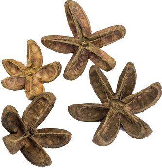 Dekorace - Bullet Flower 4 ks