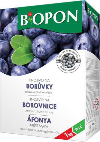 Bopon - borůvky 1 kg BROS