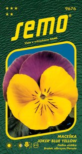 Maceška zahradní - Joker Blue Yellow 35s