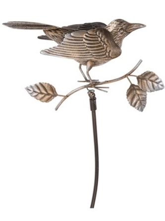 Zlatý ptáček zlatý B