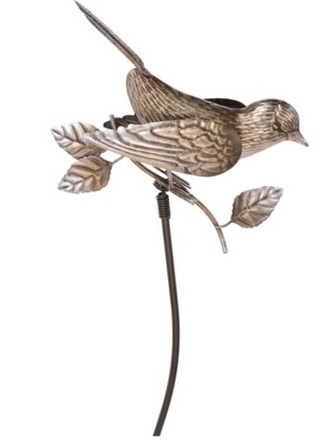 Zlatý ptáček zlatý A