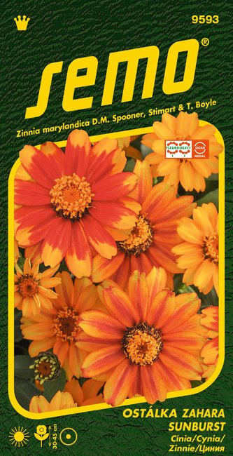 Ostálka - Zahara® Sunburst 15s