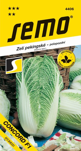 Zelí pekingské - Concord F1 soudeček 50s