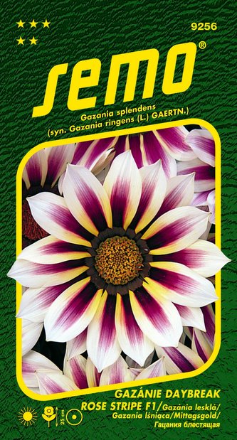 Gazánie zářivá - Daybreak Rose Stripe F1 15s