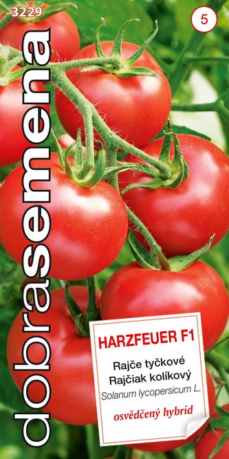 Dobrá semena Rajče tyč. - Harzfeuer F1 10s