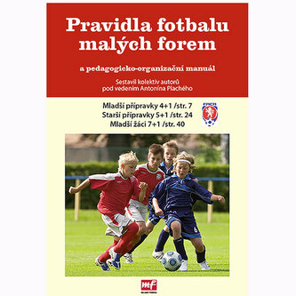 Pravidla fotbalu malých forem