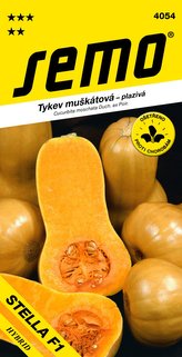 Tykev muškátová - Stella F1 (typ Butternut) konz.vař 2g
