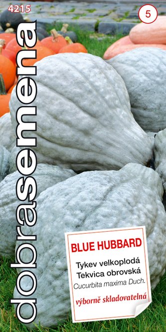 Dobrá semena Tykev velkoplodá - Blue Hubbard modrá 7s