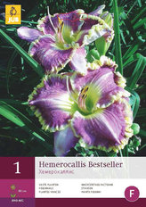 Karta - Denivka BESTSELLER (1 hlíza) "D"