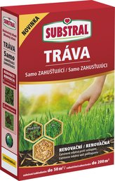 Travní směs samozahušťující - Renovační 1 kg EVERGREEN
