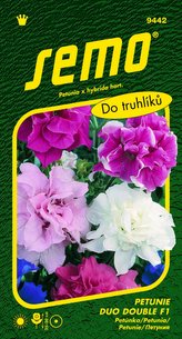 Petunie mnohokvětá - Duo Double F1 30p