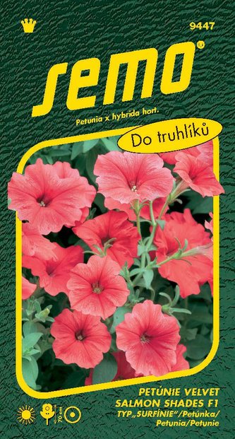 Petunie převislá - Velvet Salmon Shades F1 (typ Surfinie) 10p