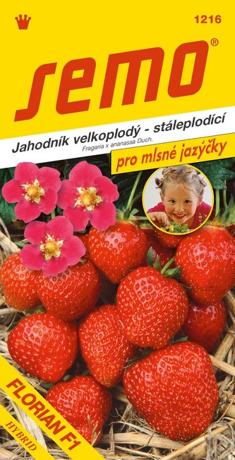 Jahodník velkoplodý - Florian F1 12s - série JAZÝČKY