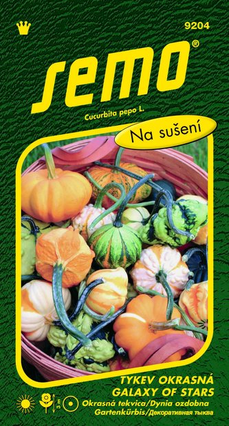 Tykev okrasná - Galaxy of Stars F1 0,4g