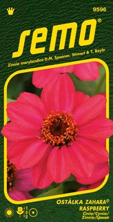 Ostálka - Zahara® Raspberry 15s