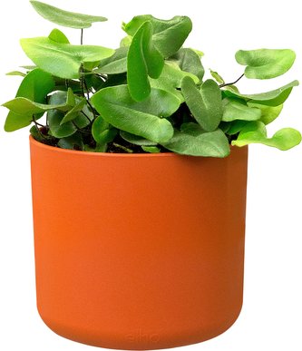 Obal B.For Soft Round - brique 14 cm