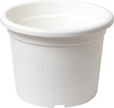 Obal Narcis - bílý 19 cm