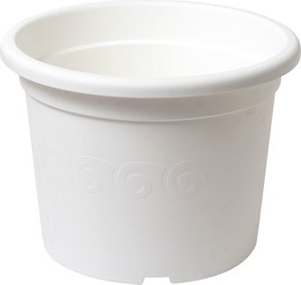 Obal Narcis - bílý 19 cm