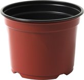 Kontejner Desch 12 cm - terakota/černý 10 ks