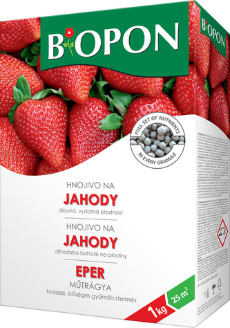 Bopon - jahody 1 kg BROS
